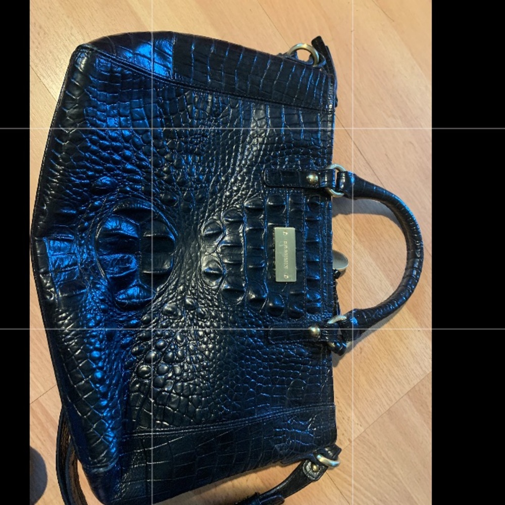 Brahmin bag